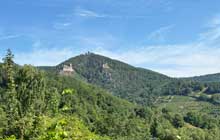 great food wine and traditions in the best self guided walking journey in alsace in france